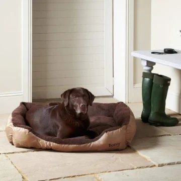a When it comes to finding reliable and well-made products for pets, Bunty Pet Products has become a trusted name across the UK. Known for durability, comfort, and fair pricing, their catalogue spans everything from supportive dog beds to practical harnesses. This review explores the standout services and product offerings that make Bunty a go-to choice for pet owners.